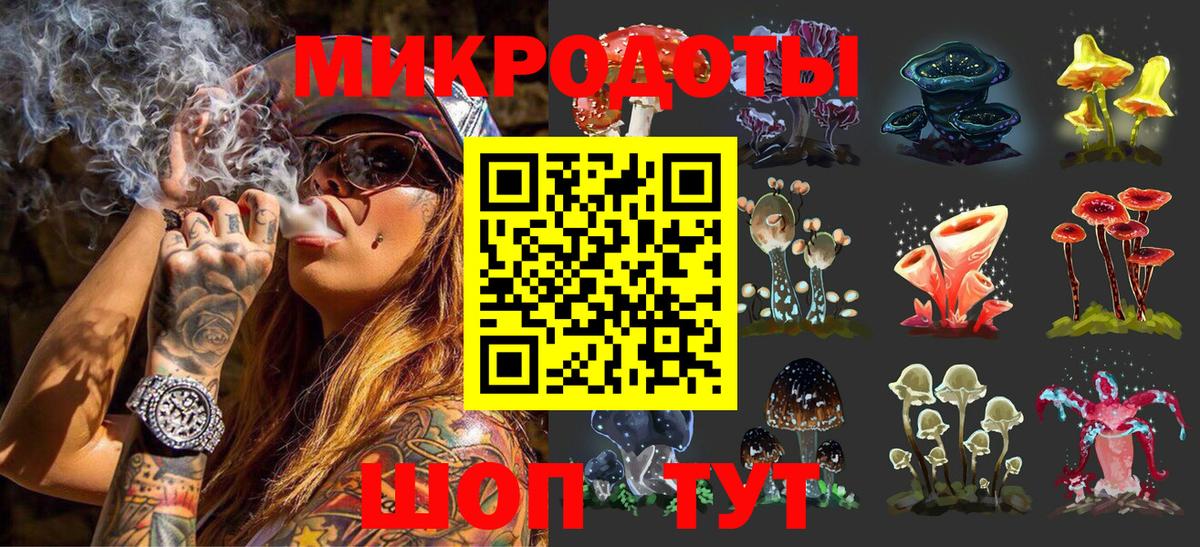Псилоцибиновые грибы прущие грибы Лабытнанги