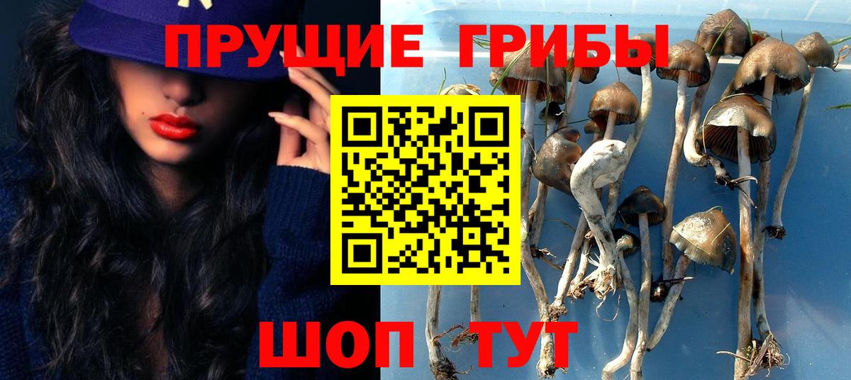 Лабытнанги  Псилоцибиновые грибы Psilocybine cubensis  Вход с VPN 
